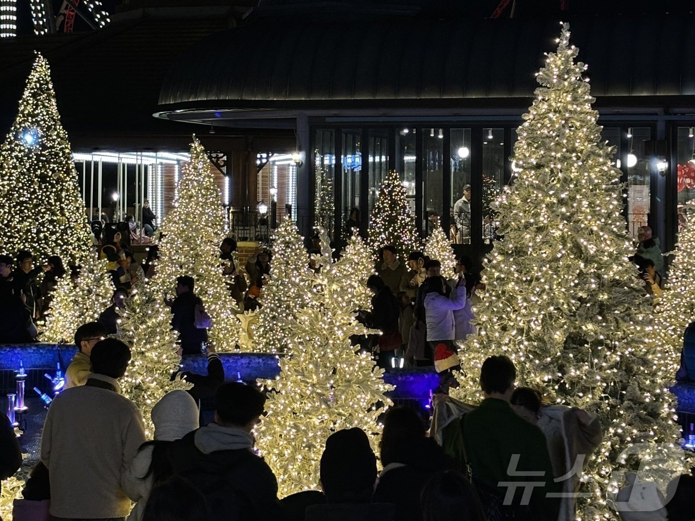 본문 이미지 - 23일 롯데월드어드벤처 부산에 대형 크리스마스 트리가 불을 밝히고 있다.(롯데월드 부산 제공)