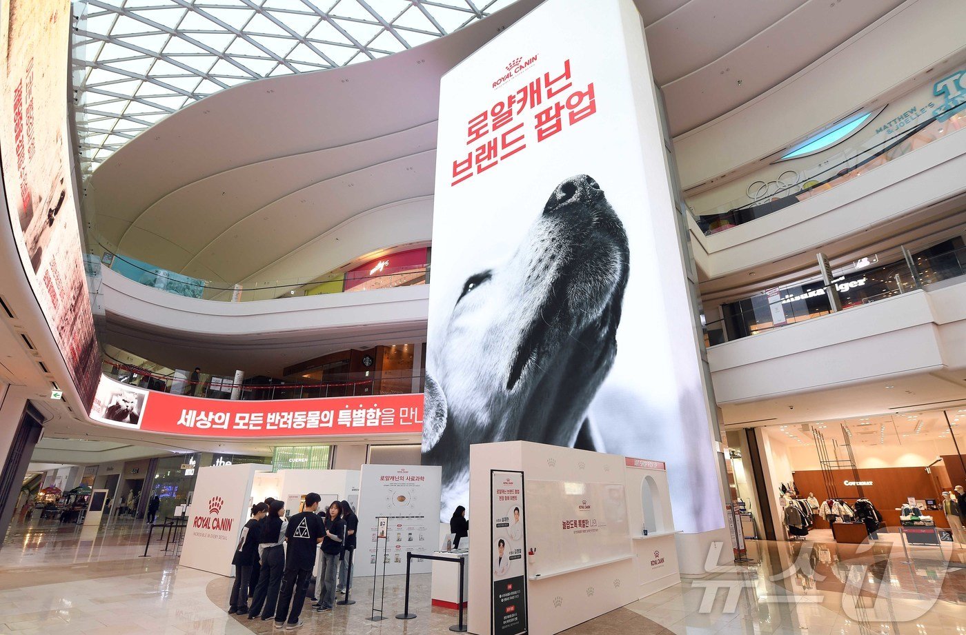 본문 이미지 - 로얄캐닌코리아는 ‘놀랍도록 특별한 나의 ____(반려동물 이름)’을 주제로 경기도 하남시 스타필드 하남 센트럴 아트리움서 12월 8일까지 첫 단독 브랜드 팝업을 진행했다. 반려동물이 가지고 있는 특별한 능력을 확인하고 체험할 수 있는 다양한 프로그램을 제공한다. (로얄캐닌 제공) 2024.11.25/뉴스1