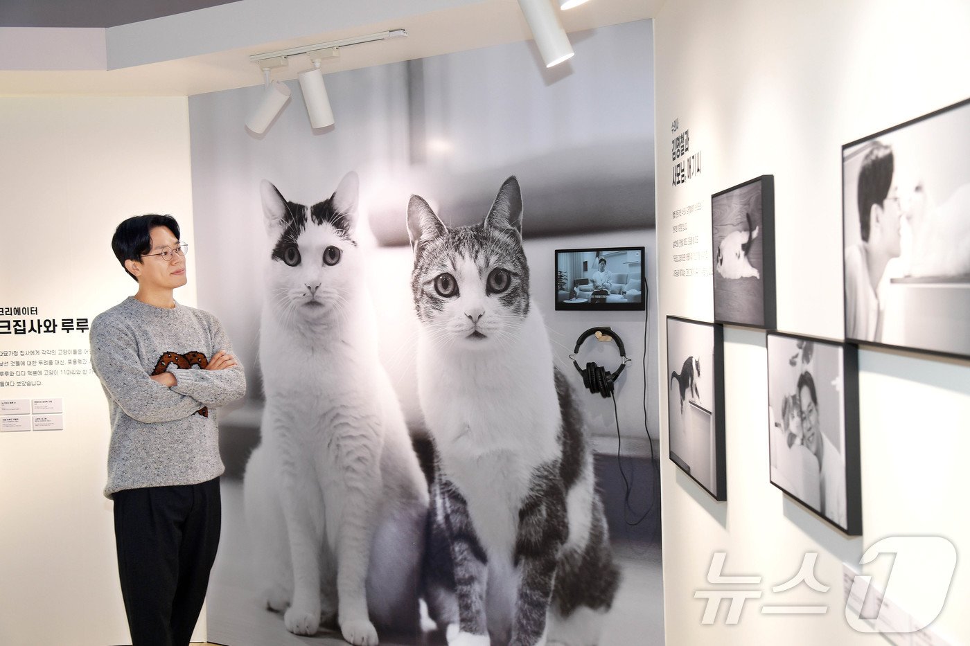 본문 이미지 - 로얄캐닌코리아는 ‘놀랍도록 특별한 나의 ____(반려동물 이름)’을 주제로 경기도 하남시 스타필드 하남 센트럴 아트리움서 12월 8일까지 첫 단독 브랜드 팝업을 진행했다. 김명철 수의사가 본인의 반려묘 ‘사모님’, ‘애기씨‘와 촬영한 사진을 보고있다. (로얄캐닌 제공) 2024.11.25/뉴스1