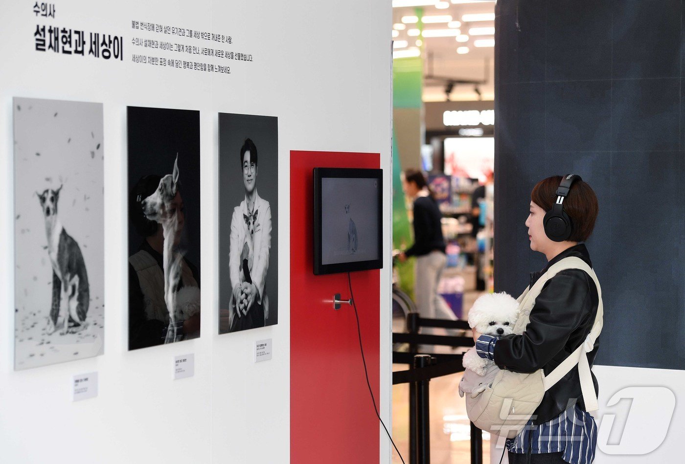 본문 이미지 - 로얄캐닌코리아는 ‘놀랍도록 특별한 나의 ____(반려동물 이름)’을 주제로 경기도 하남시 스타필드 하남 센트럴 아트리움서 12월 8일까지 첫 단독 브랜드 팝업을 진행했다. 한 방문객이 반려견과 함께 ‘놀랍도록 특별한 사진전‘에서 영상을 시청하고 있다. (로얄캐닌 제공) 2024.11.25/뉴스1