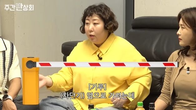 신기루 "주차장 차단기가 나를 차로 인식…목덜미 쳐 멍들었다"