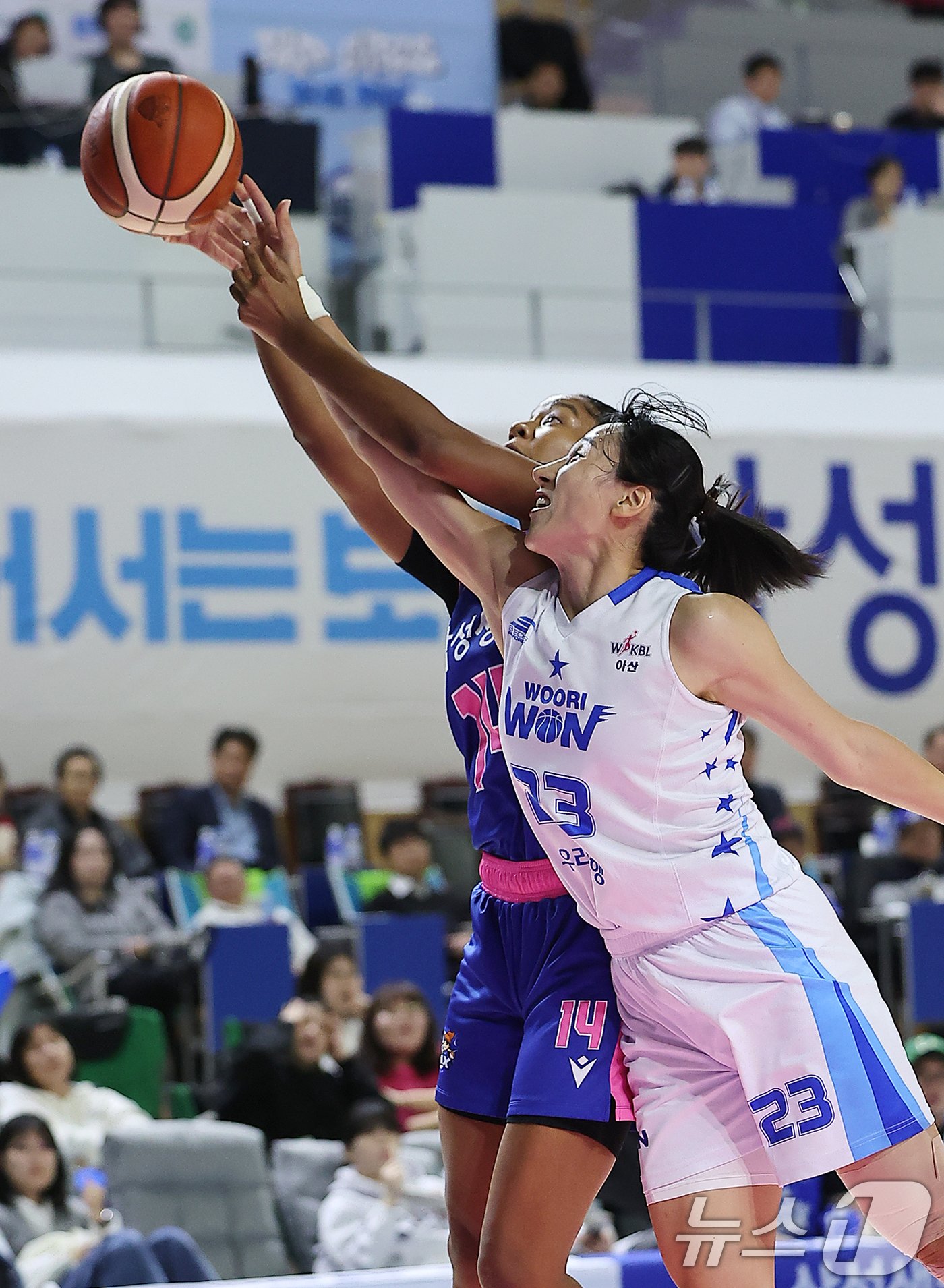 본문 이미지 - 25일 오후 경기 용인시 처인구 용인실내체육관에서 열린 '하나은행 2024~2025 여자프로농구' 용인 삼성생명 블루밍스와 아산 우리은행 우리WON의 경기, 삼성생명 키이나와 우리은행 김단비가 리바운드 경합을 하고 있다. 2024.11.25/뉴스1 ⓒ News1 김진환 기자