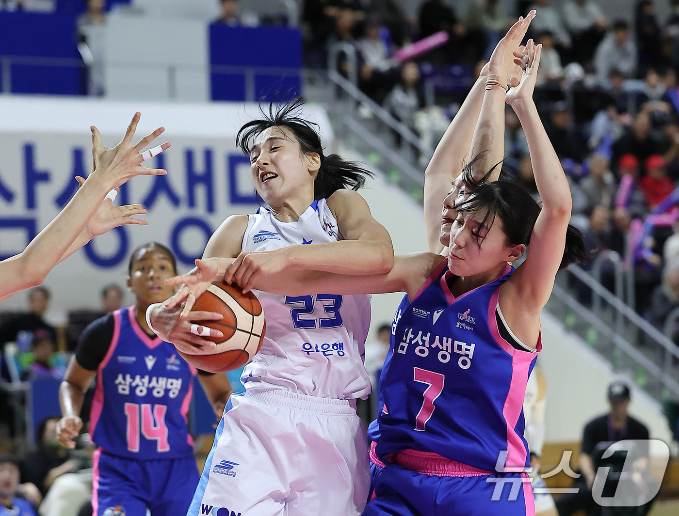 (용인=뉴스1) 김진환 기자 = 25일 오후 경기 용인시 처인구 용인실내체육관에서 열린 '하나은행 2024~2025 여자프로농구' 용인 삼성생명 블루밍스와 아산 우리은행 우리WON …