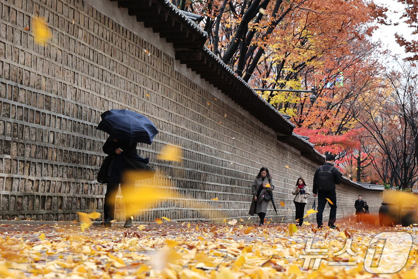 (서울=뉴스1) 신웅수 기자 = 26일 오전 서울 중구 정동길에서 시민들이 낙엽 쌓인 거리를 걷고 있다.기상청은 이날 전국에 비와 함께 강한 바람이 불다가 새벽에는 수도권에 첫눈이 …