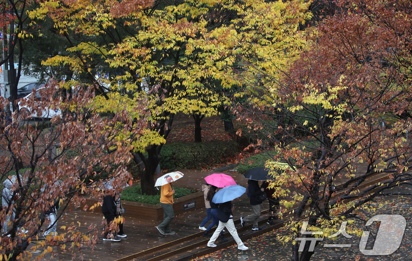 (부산=뉴스1) 윤일지 기자 = 부산에 비가 내리고 강풍주의보가 발효된 26일 오전 부산 해운대구 벡스코에서 우산을 쓴 시민들이 발걸음을 옮기고 있다. 2024.11.26/뉴스1