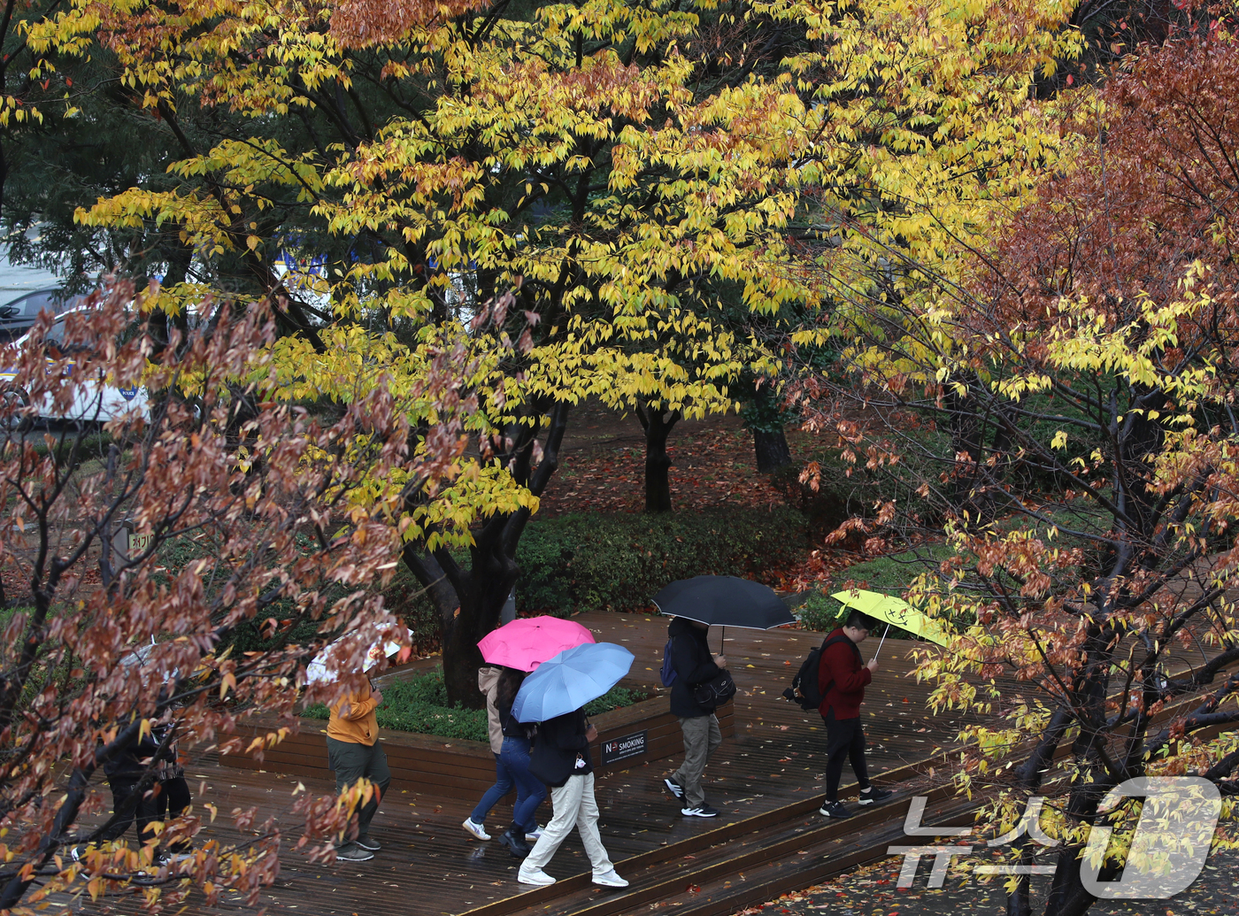 (부산=뉴스1) 윤일지 기자 = 부산에 비가 내리고 강풍주의보가 발효된 26일 오전 부산 해운대구 벡스코에서 우산을 쓴 시민들이 발걸음을 옮기고 있다. 2024.11.26/뉴스1