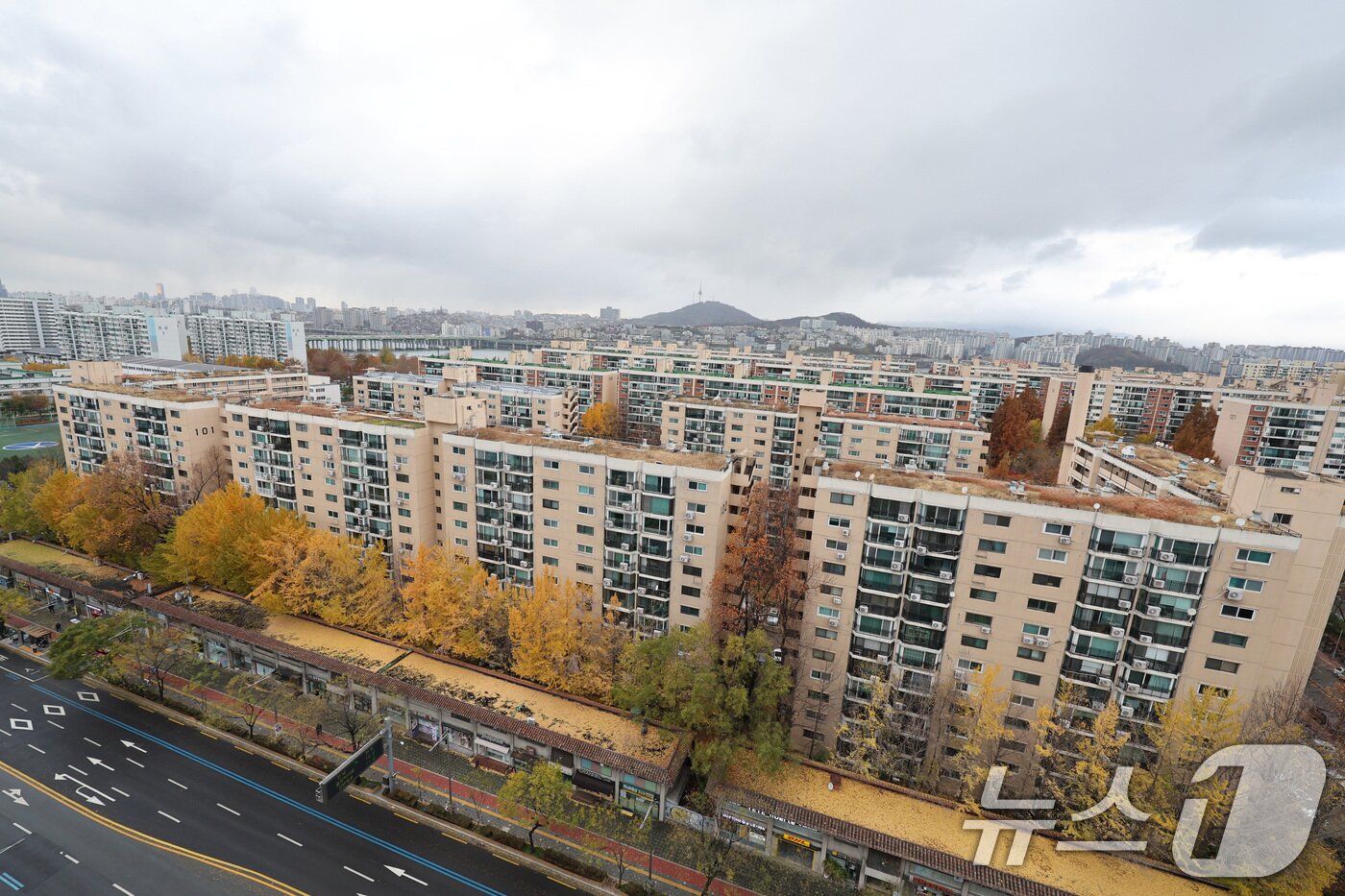 본문 이미지 -  서울 강남구 압구정2구역의 모습. /뉴스1 ⓒ News1 신웅수 기자