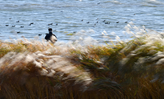 [오늘의날씨]인천(7일,일)…흐리고 낮 최고 9~13도 '포근'