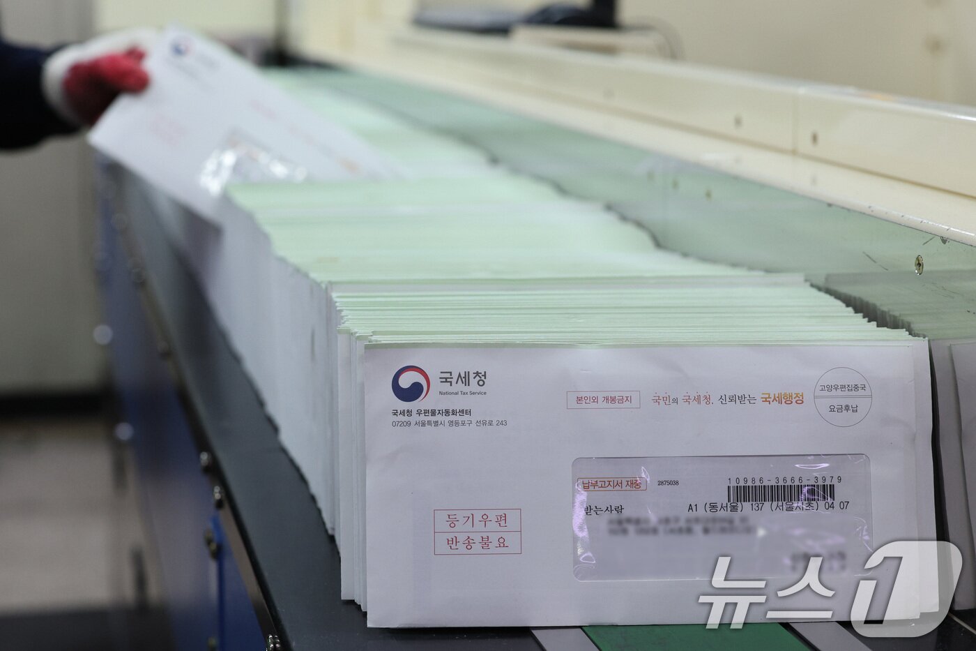 본문 이미지 - 서울 서초우체국에서 직원들이 2024년 종부세 우편물을 분류하고 있다. 뉴스1 ⓒ News1 신웅수 기자