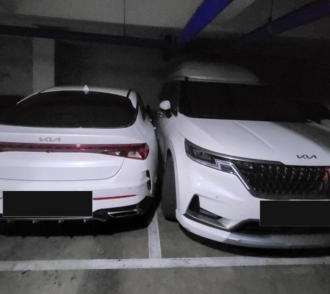 본문 이미지 - (보배드림 갈무리)