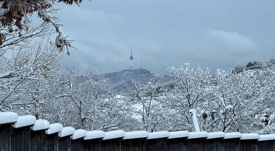 눈 떠보니 '서울 설국'