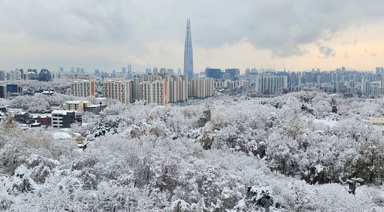 겨울의 시작을 알리는 첫눈