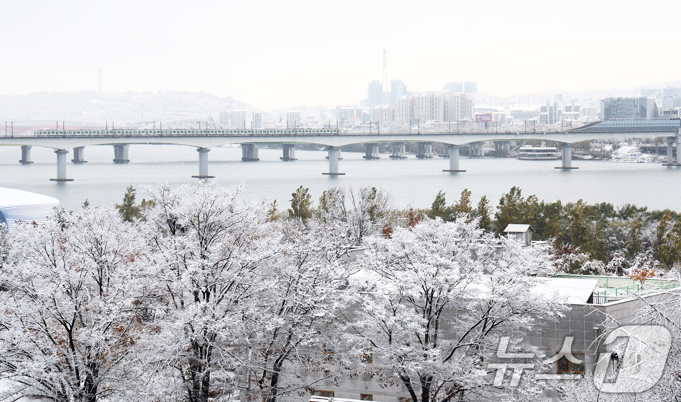 (서울=뉴스1) 김민지 기자 = 서울 전역에 대설주의보가 발효된 27일 오전 서울 여의도 국회에서 바라본 도심이 하얗게 변해 있다. 2024.11.27/뉴스1