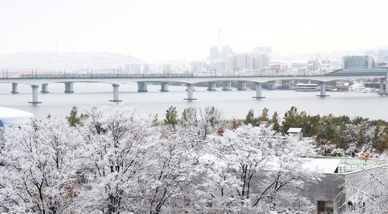 겨울 시작 알리는 눈