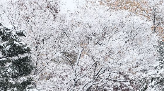 대설주의보 내려진 서울