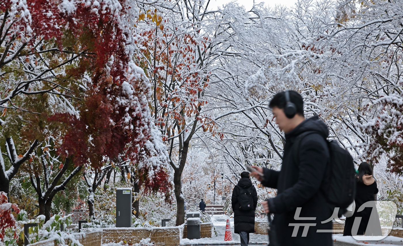 (서울=뉴스1) 장수영 기자 = 많은 눈이 내린 27일 오전 서울 종로구 광화문광장에서 출근길에 나선 시민들이 눈 쌓인 길을 걷고 있다. 2024.11.27/뉴스1