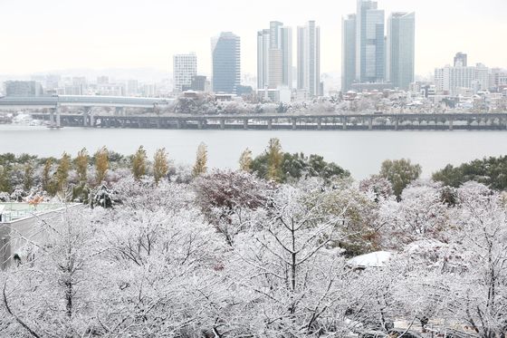 軍, '많은 눈 대비' 지침 하달…대설주의보 속 태세 유지 만전