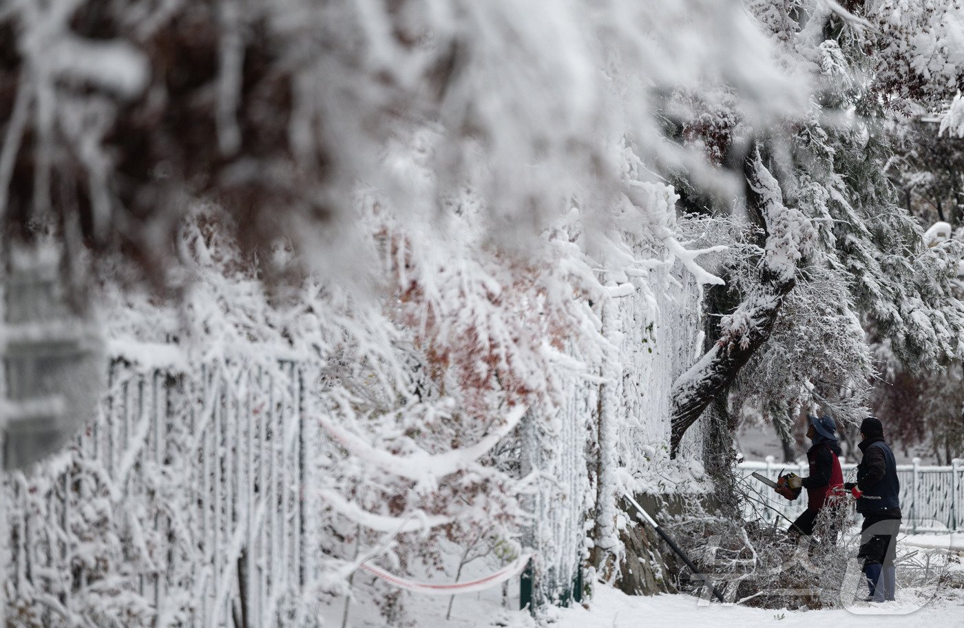 본문 이미지 - 서울 지역에 올해 첫 눈이 내린 27일 오전 서울 종로구 북악스카이웨이 입구에서 관계자들이 안전한 통행을 위해 주변을 정돈하고 있다. 2024.11.27/뉴스1 ⓒ News1 이재명 기자