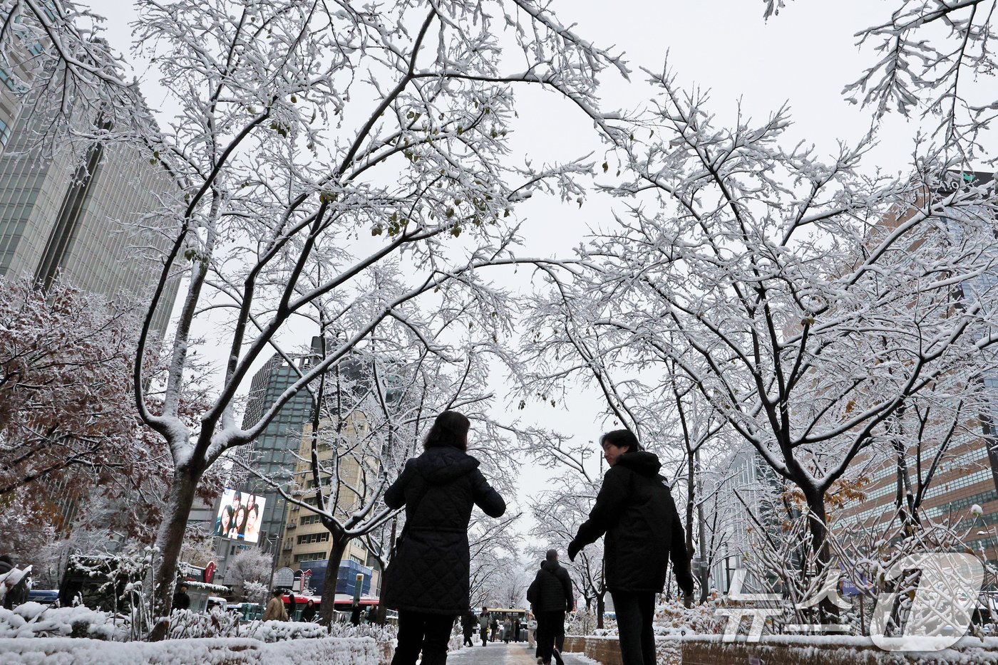 많은 눈이 내린 27일 오전 서울 종로구 광화문광장에서 출근길에 나선 시민들이 눈 쌓인 길을 걷고 있다. 2024.11.27/뉴스1 ⓒ News1 장수영 기자