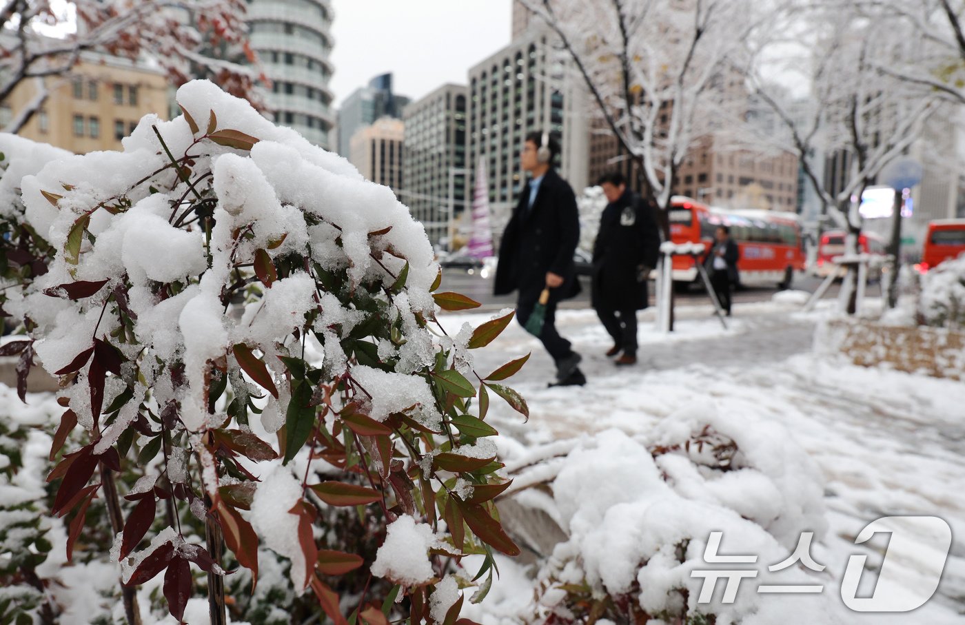 본문 이미지 - 많은 눈이 내린 27일 오전 서울 종로구 광화문광장에서 출근길에 나선 시민들이 눈 쌓인 길을 걷고 있다. 2024.11.27/뉴스1 ⓒ News1 장수영 기자