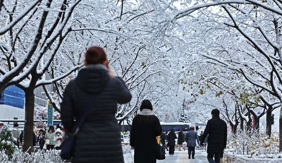 15.2㎝ 내린 진안 대설경보…무주‧장수‧남원‧순창‧임실 '주의보'