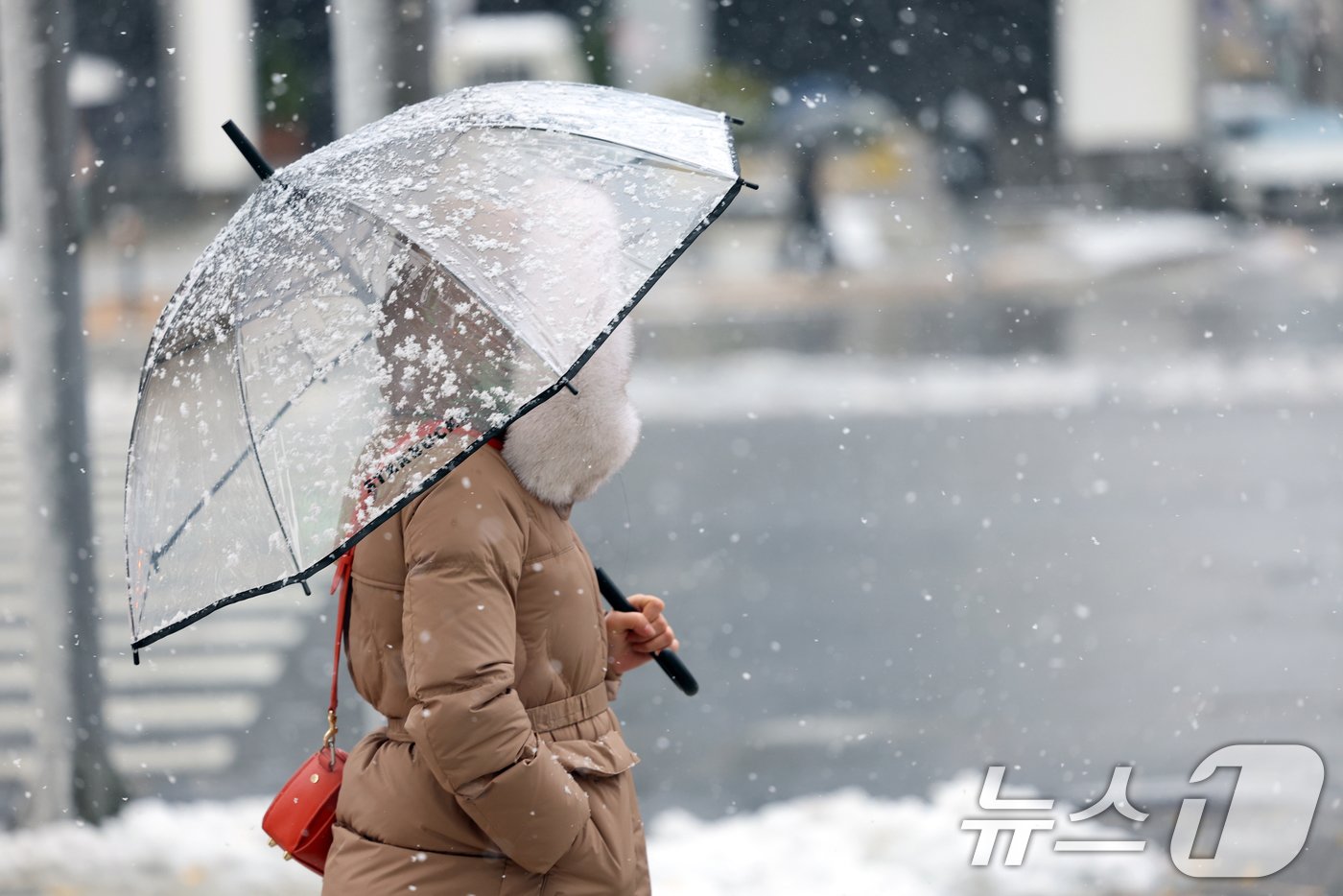 많은 눈이 내린 27일 오전 서울 강남구 도산대로에서 시민이 발걸음을 재촉하고 있다. 2024.11.27/뉴스1 ⓒ News1 황기선 기자