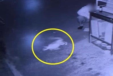 본문 이미지 - (SNS 갈무리)