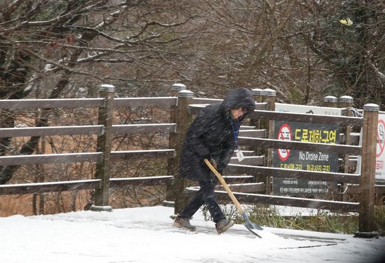 제주 한라산에 눈 25㎝ 쌓여…항공편 17편 결항·16편 지연