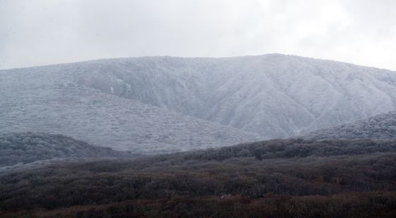 겨울왕국된 한라산