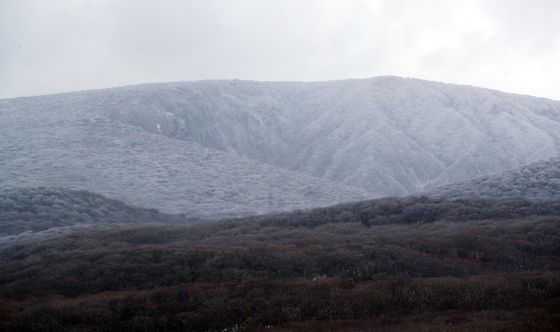 제주 한라산에 최대 34.7㎝ 눈…항공편 11편 결항·170편 지연(종합)