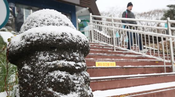 제주도 겨울로