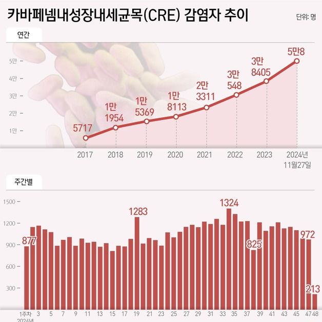 카바페넴 내성 장내세균 감염 5만명 넘어…"치료 어렵고 사망률 높아"