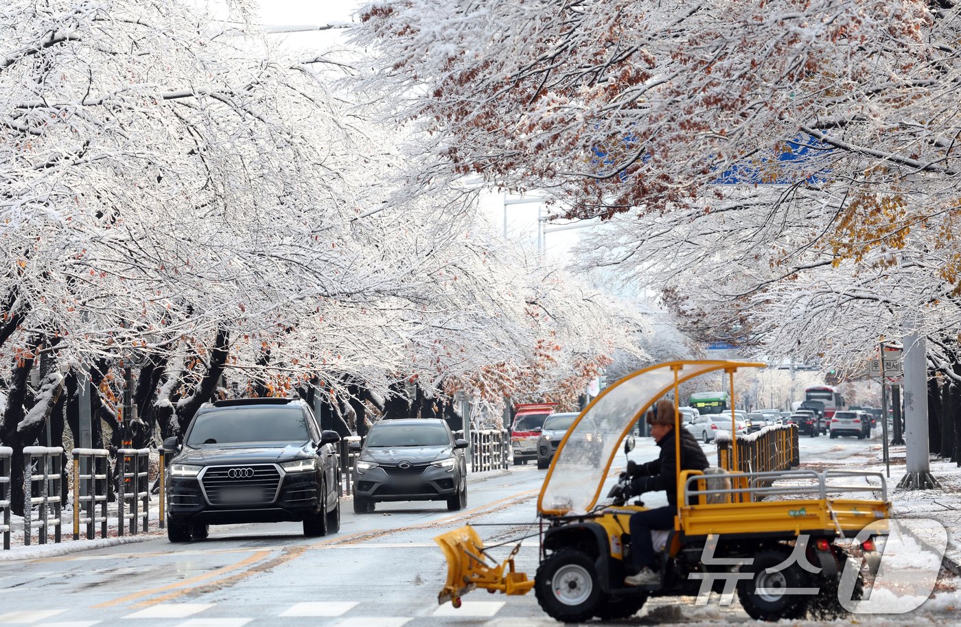 본문 이미지 - 수도권 지역에 첫 눈이 내린 27일 서울 여의도 윤중로 벚나무길에 눈꽃 터널이 만들어져 멋진 풍경을 만들고 있다. 2024.11.27/뉴스1 ⓒ News1 김명섭 기자