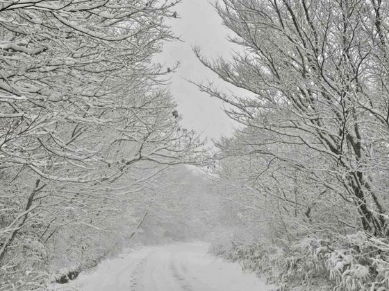 광주 '첫눈' 무등산 2.5㎝…구례는 대설주의보(종합)