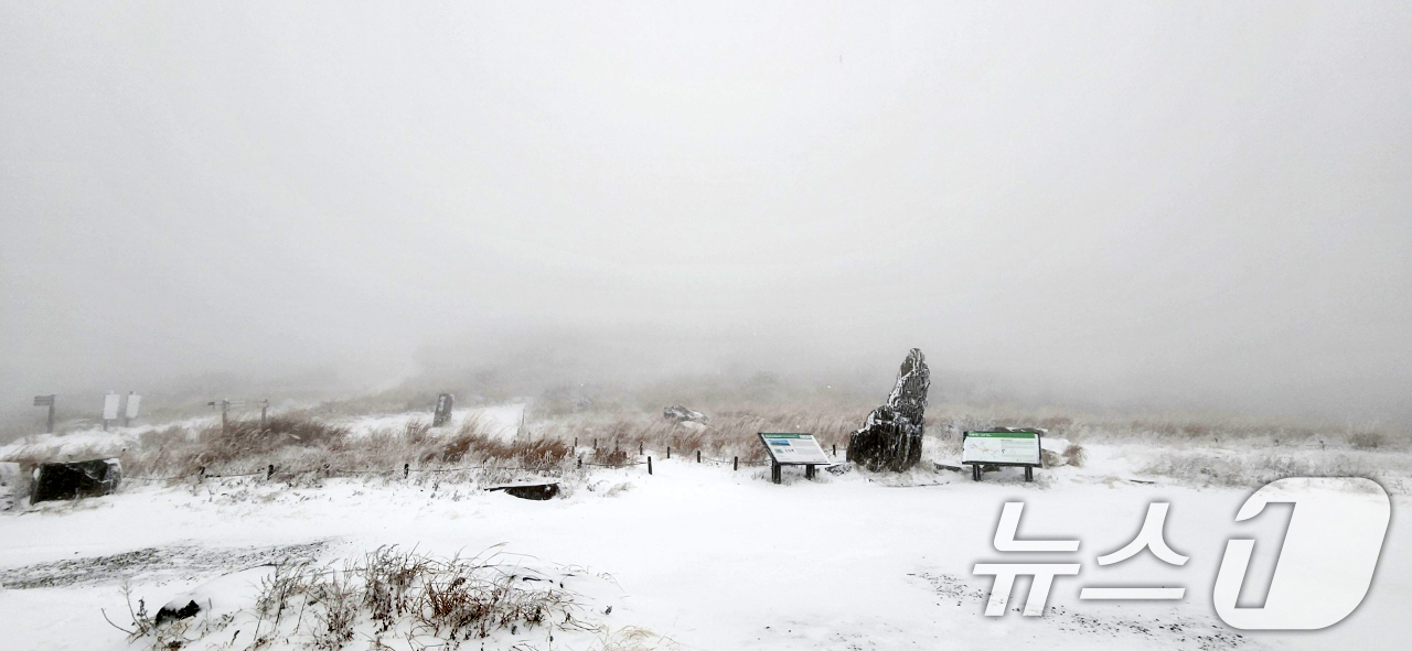 (광주=뉴스1) 이승현 기자 = 27일 오전 광주 무등산 장불재에 올해 첫눈이 내리고 있다. (무등산국립공원 사무소 제공) 2024.11.27/뉴스1