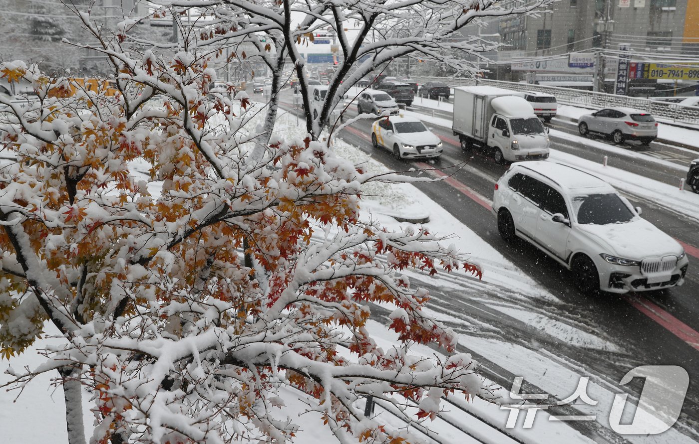 본문 이미지 - 전국 곳곳에 최대 20㎝ 이상의 많은 눈이 내린 27일 경기 용인시 기흥구 용구대로가 폭설로 인해 정체를 빚고 있다. 2024.11.27/뉴스1 ⓒ News1 김영운 기자