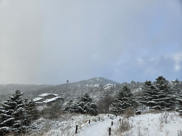 합천 3.2㎝ 눈…거창·산청·합천·함양 대설주의보