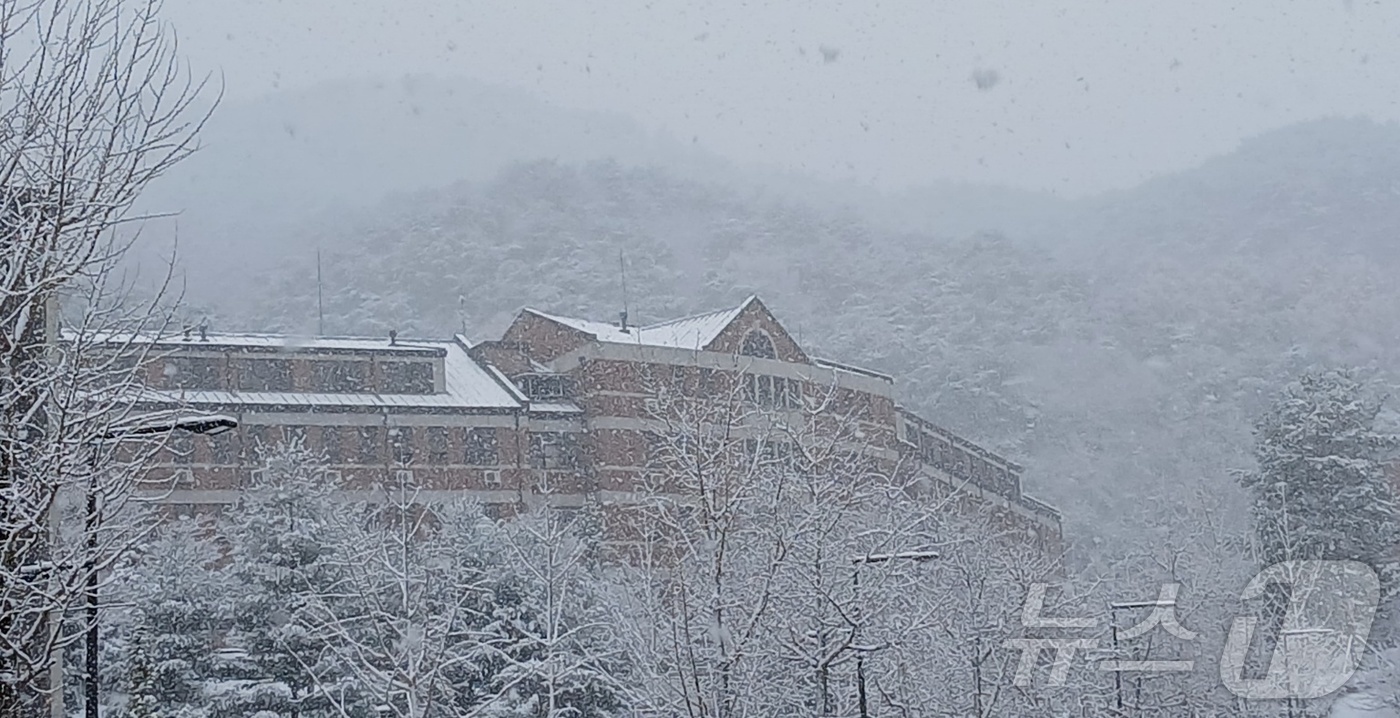 (원주=뉴스1) 신관호 기자 = 27일 강원 원주에 대설주의보가 내려진 가운데, 이날 오전 원주시 연세대 미래캠퍼스에 눈이 내리고 있다. 2024.11.27./뉴스1