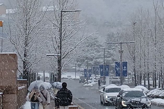 수원·화성 '대설주의보' 추가…경기 17곳 발효 중