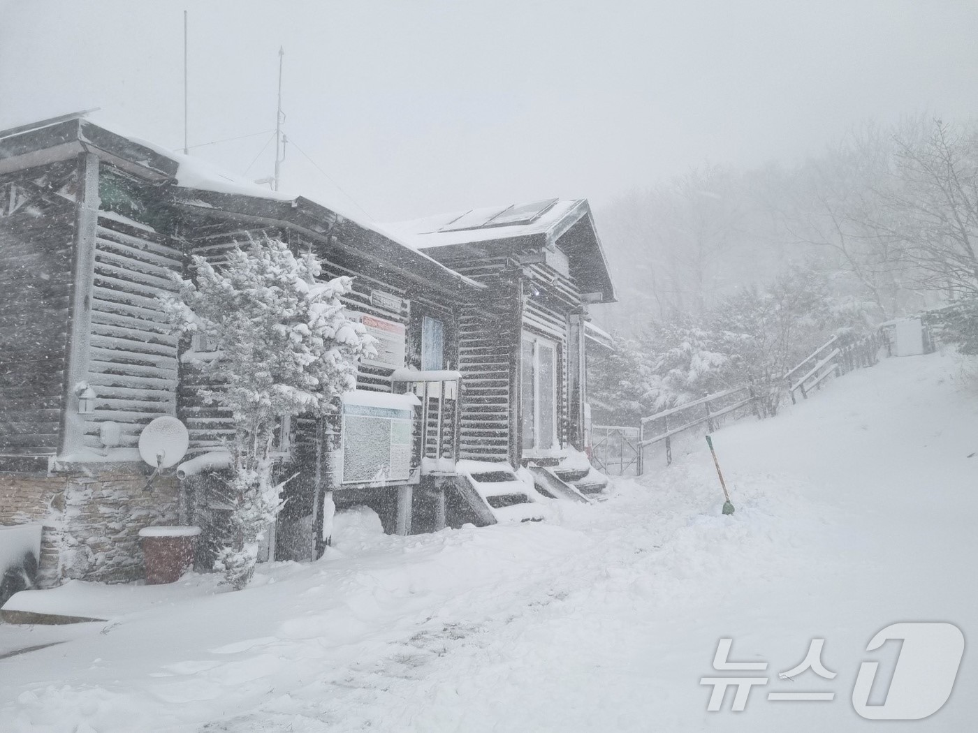 (무주=뉴스1) 장수인 기자 = 올해 첫눈이 내린 27일 전북자치도 무주군 덕유산에 눈이 쌓여 있다.(덕유산국립공원공단 제공) 2024.11.27/뉴스1