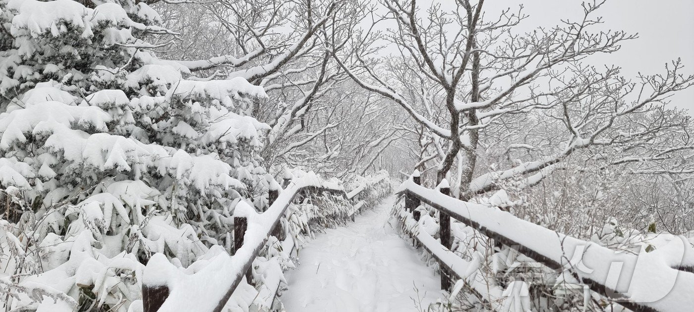 본문 이미지 - 올해 첫눈이 내린 27일 전북 무주군 덕유산 향적봉에 하얀 눈이 쌓여 있다. (덕유산국립공원공단 제공) 2024.11.27/뉴스1 ⓒ News1 장수인 기자