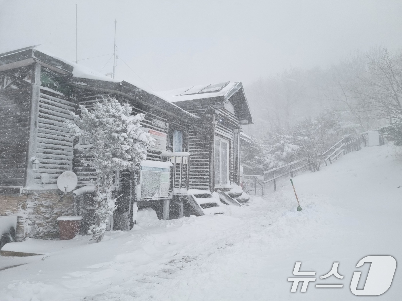 (서울=뉴스1) = 27일 전북 무주 덕유산국립공원에 밤사이 내린 첫눈이 쌓여 있다. (덕유산국립공원사무소 제공) 2024.11.27/뉴스1