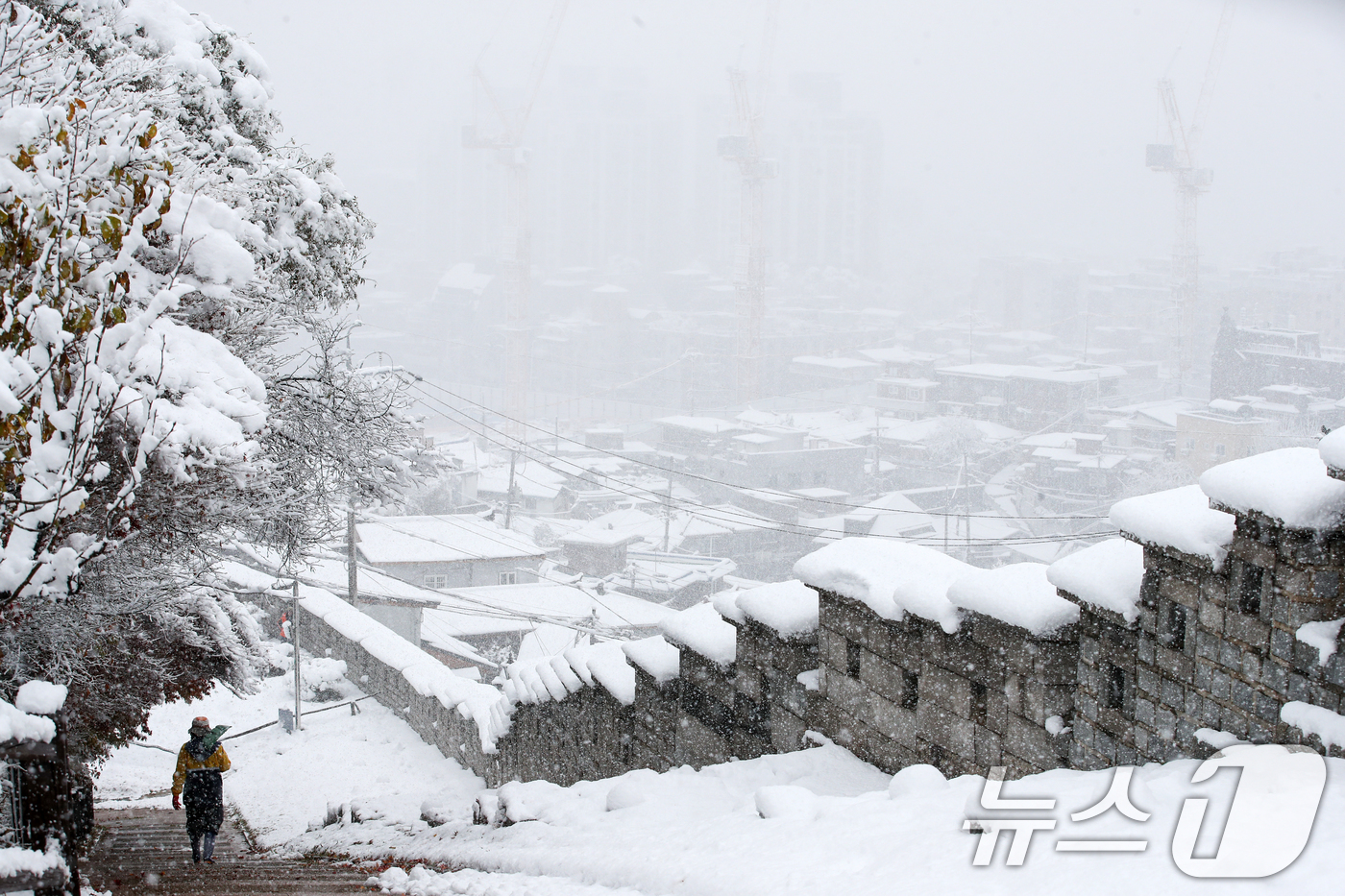 (서울=뉴스1) 이승배 기자 = 많은 눈이 내린 27일 오후 서울 종로구 낙산공원에 눈이 쌓여있다.이날은 서울에 공식적으로 16㎝가 넘는 눈이 쌓여 1907년 근대적인 기상관측을 …