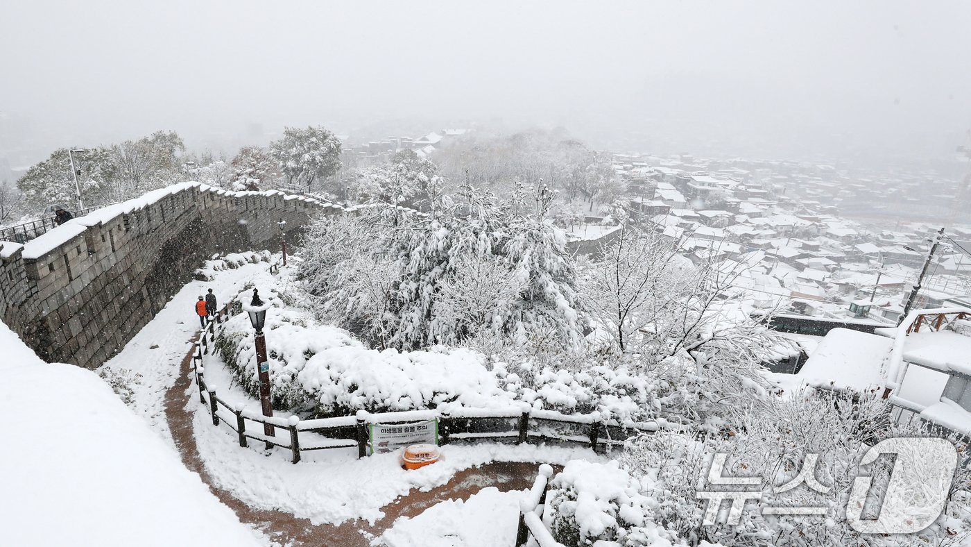 본문 이미지 - 많은 눈이 내린 27일 오후 서울 종로구 낙산공원에 눈이 쌓여있다. 이날은 서울에 공식적으로 16㎝가 넘는 눈이 쌓여 1907년 근대적인 기상관측을 시작한 이래 117년 만에 11월엔 가장 많은 눈이 쌓인 것으로 나타났다. 오전 10시 기준, 서울의 공식적인 '일 최고 적설'(일 최심 적설)은 16.5㎝로 나타났다. 서울의 공식적인 적설 기록은 종로구 송월동 서울기상관측소의 측정값을 활용한다. 2024.11.27/뉴스1 ⓒ News1 이승배 기자