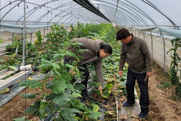 정읍시, 한파·폭설 대비 농업 시설물 중점 관리 당부