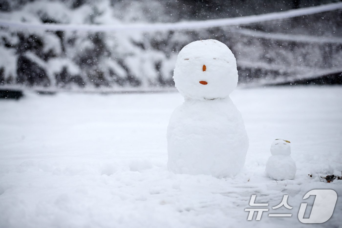 많은 눈이 내린 27일 오후 서울 종로구 낙산공원에 눈사람이 만들어져 있다. 이날은 서울에 공식적으로 16㎝가 넘는 눈이 쌓여 1907년 근대적인 기상관측을 시작한 이래 117년 만에 11월엔 가장 많은 눈이 쌓인 것으로 나타났다. 오전 10시 기준, 서울의 공식적인 &#39;일 최고 적설&#39;&#40;일 최심 적설&#41;은 16.5㎝로 나타났다. 서울의 공식적인 적설 기록은 종로구 송월동 서울기상관측소의 측정값을 활용한다. 2024.11.27/뉴스1 ⓒ News1 이승배 기자