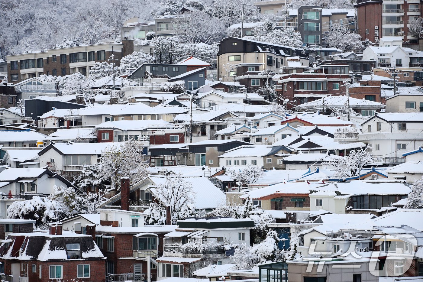 많은 눈이 내린 27일 오후 서울 성북구 일대에 눈이 쌓여있다. 이날은 서울에 공식적으로 16㎝가 넘는 눈이 쌓여 1907년 근대적인 기상관측을 시작한 이래 117년 만에 11월엔 가장 많은 눈이 쌓인 것으로 나타났다. 오전 10시 기준, 서울의 공식적인 &#39;일 최고 적설&#39;&#40;일 최심 적설&#41;은 16.5㎝로 나타났다. 서울의 공식적인 적설 기록은 종로구 송월동 서울기상관측소의 측정값을 활용한다. 2024.11.27/뉴스1 ⓒ News1 이승배 기자