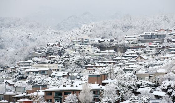 '대설' 서울시 비상근무 2단계…피해 38건 발생·35건 조치 완료