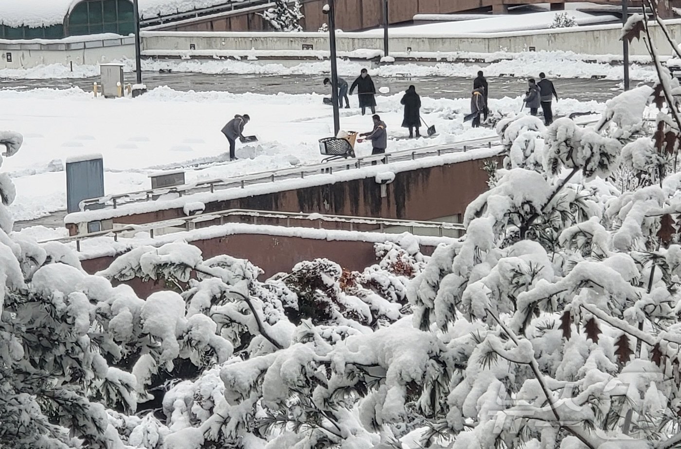 본문 이미지 - 전국 곳곳에 최대 20㎝ 이상의 많은 눈이 내린 27일 오후 경기 수원시 권선구 한 마트 주차장에서 직원들이 쌓인 눈을 치우고 있다. 2024.11.27/뉴스1