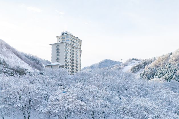 강원북부산지 대설주의보 발효…원주 등 2곳 대설경보 유지